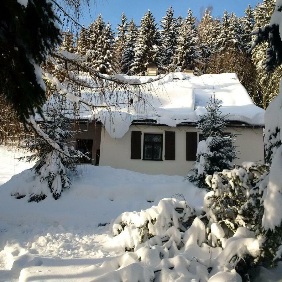 Orli Hnizdo Villa Cerny Dul Exterior photo